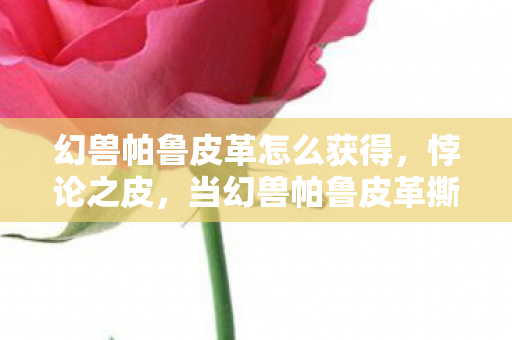 幻兽帕鲁皮革怎么获得,悖论之皮,当幻兽帕鲁皮革撕裂存在主义帷幕,你的自由是算法牢笼? 幻兽帕鲁皮革怎么获得,悖论之皮,当幻兽帕鲁皮革撕裂存在主义帷幕,你的自由是算法牢笼?