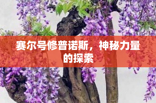 赛尔号修普诺斯,神秘力量的探索 赛尔号修普诺斯,神秘力量的探索