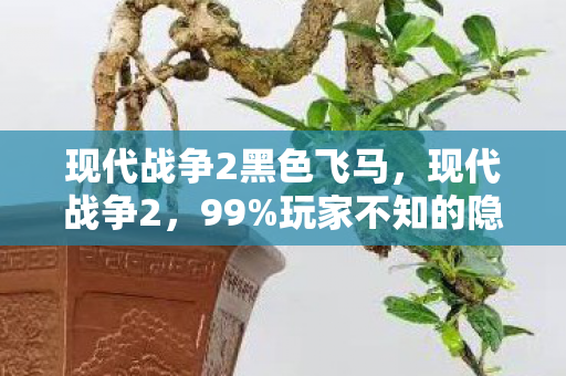 现代战争2黑色飞马，现代战争2，99%玩家不知的隐藏机制，竟让菜鸟秒变战场杀神！