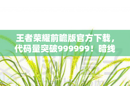 王者荣耀前瞻版官方下载，代码量突破999999！暗线操控生死局，这操作让人头皮发麻