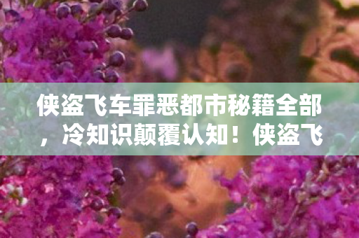 侠盗飞车罪恶都市秘籍全部，冷知识颠覆认知！侠盗飞车罪恶都市秘籍背后，真相让我目瞪口呆！