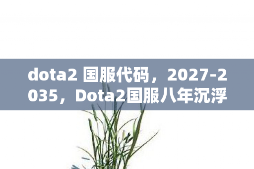 dota2 国服代码,2027-2035,Dota2国服八年沉浮,谁在操控你的胜负天平? dota2 国服代码,2027-2035,Dota2国服八年沉浮,谁在操控你的胜负天平?