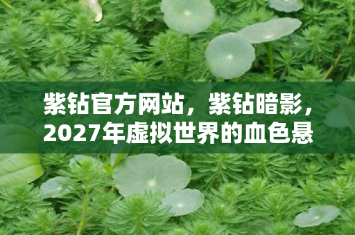 紫钻官方网站，紫钻暗影，2027年虚拟世界的血色悬案，真相令人毛骨悚然
