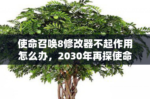使命召唤8修改器不起作用怎么办,2030年再探使命召唤8修改器,十年变迁,隐藏玩法竟颠覆认知! 使命召唤8修改器不起作用怎么办,2030年再探使命召唤8修改器,十年变迁,隐藏玩法竟颠覆认知!