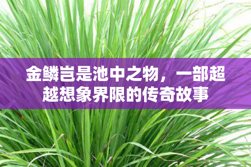 金鳞岂是池中之物,一部超越想象界限的传奇故事 金鳞岂是池中之物,一部超越想象界限的传奇故事