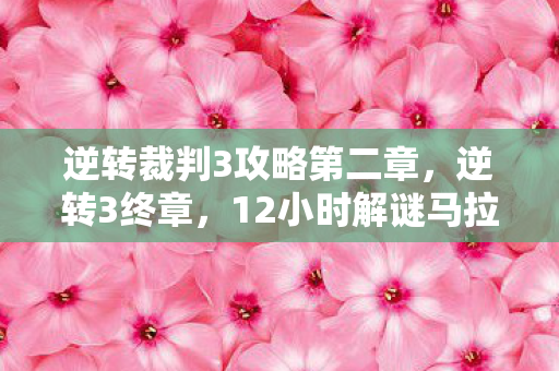 逆转裁判3攻略第二章，逆转3终章，12小时解谜马拉松，泪目见证法庭最后的钟声