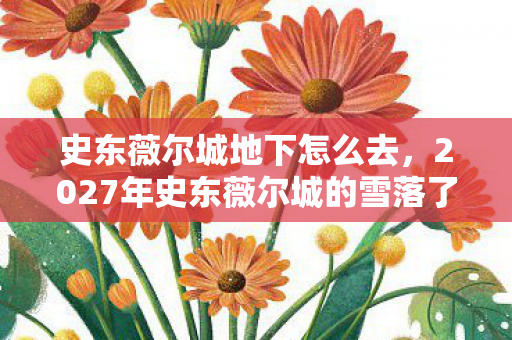 史东薇尔城地下怎么去，2027年史东薇尔城的雪落了，那句别走成了我鼻尖的酸