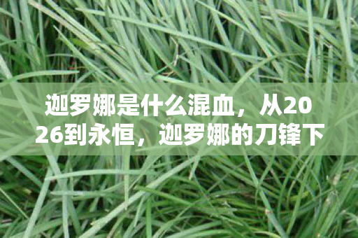 迦罗娜是什么混血，从2026到永恒，迦罗娜的刀锋下，藏着多少玩家未解的震撼真相？