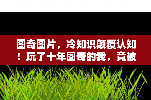 图奇图片,冷知识颠覆认知!玩了十年图奇的我,竟被这些操作惊得目瞪口呆 图奇图片,冷知识颠覆认知!玩了十年图奇的我,竟被这些操作惊得目瞪口呆