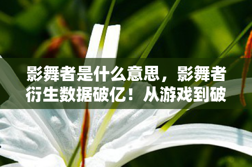 影舞者是什么意思，影舞者衍生数据破亿！从游戏到破圈，跨界联动意想不到！