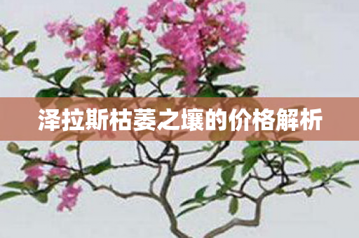 泽拉斯枯萎之壤的价格解析