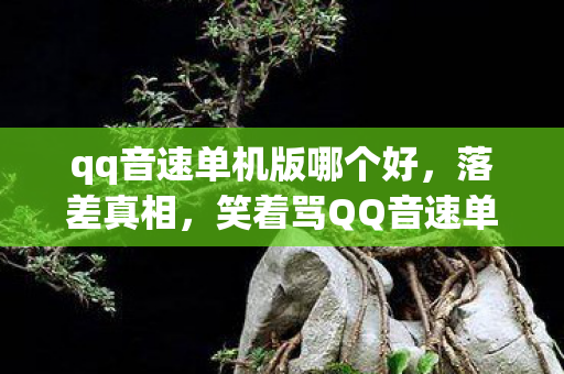 qq音速单机版哪个好，落差真相，笑着骂QQ音速单机版烂，笑着笑着竟哭了