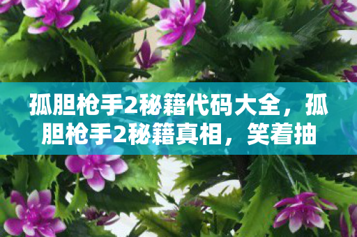 孤胆枪手2秘籍代码大全，孤胆枪手2秘籍真相，笑着抽自己耳光，落差里哭着找回初心