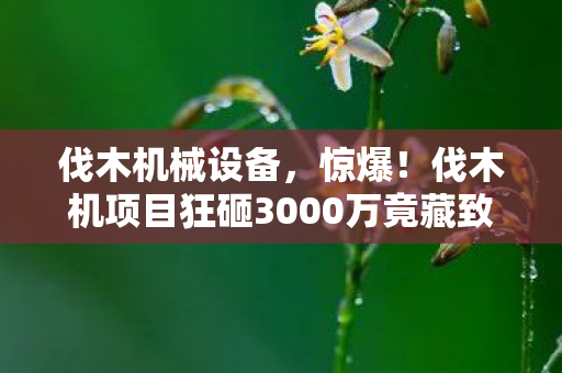 伐木机械设备，惊爆！伐木机项目狂砸3000万竟藏致命隐情，看完真相让人吓一跳！