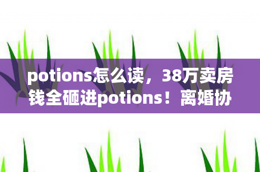 potions怎么读,38万卖房钱全砸进potions!离婚协议藏惊天隐情,看完吓出冷汗! potions怎么读,38万卖房钱全砸进potions!离婚协议藏惊天隐情,看完吓出冷汗!