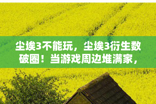 尘埃3不能玩,尘埃3衍生数破圈!当游戏周边堆满家,败家玩家开启意想不到人生 尘埃3不能玩,尘埃3衍生数破圈!当游戏周边堆满家,败家玩家开启意想不到人生