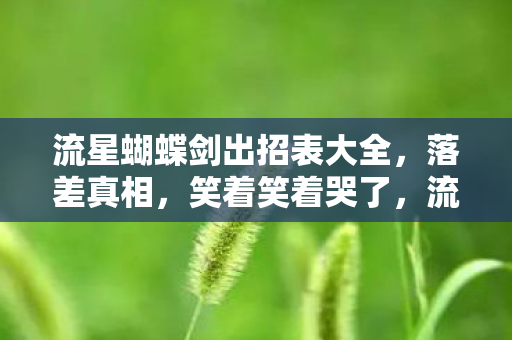 流星蝴蝶剑出招表大全,落差真相,笑着笑着哭了,流星蝴蝶剑的坑竟让我如此上头 流星蝴蝶剑出招表大全,落差真相,笑着笑着哭了,流星蝴蝶剑的坑竟让我如此上头