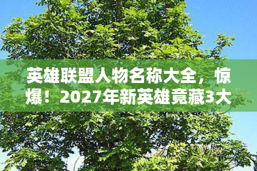 英雄联盟人物名称大全，惊爆！2027年新英雄竟藏3大逆天技能，玩家直呼，这谁顶得住？