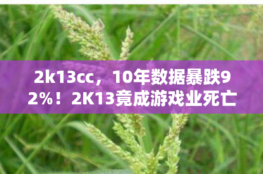 2k13cc,10年数据暴跌92%!2K13竟成游戏业死亡拐点?背后藏着年赚百亿的隐秘金矿 2k13cc,10年数据暴跌92%!2K13竟成游戏业死亡拐点?背后藏着年赚百亿的隐秘金矿