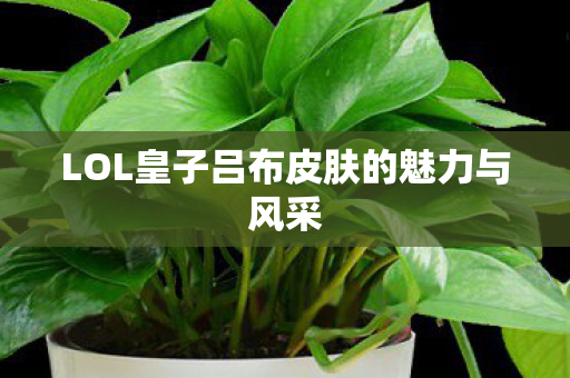 LOL皇子吕布皮肤的魅力与风采 LOL皇子吕布皮肤的魅力与风采