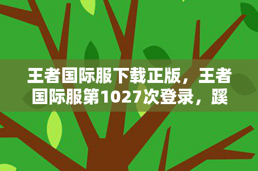 王者国际服第1027次登录图片