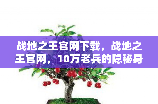 战地之王官网下载，战地之王官网，10万老兵的隐秘身份，为何在2027年集体泪崩？
