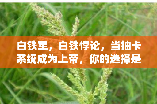 白铁军，白铁悖论，当抽卡系统成为上帝，你的选择是自由还是宿命？