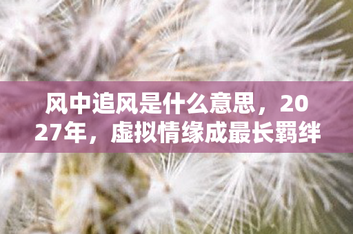 风中追风是什么意思，2027年，虚拟情缘成最长羁绊，伏笔揭开时，鼻子一酸泪满面