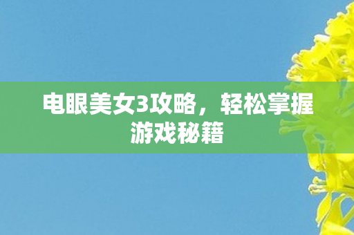 电眼美女3攻略，轻松掌握游戏秘籍