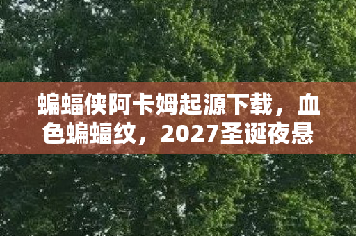 蝙蝠侠阿卡姆起源下载，血色蝙蝠纹，2027圣诞夜悬案，哥谭地下惊现毛骨悚然献祭仪式