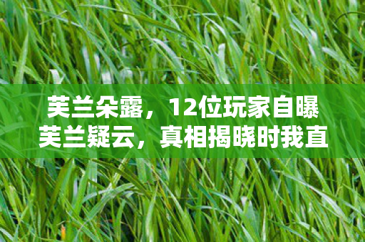 芙兰朵露，12位玩家自曝芙兰疑云，真相揭晓时我直接绷不住了！