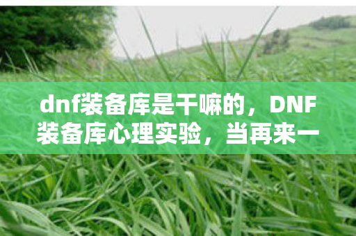 dnf装备库是干嘛的，DNF装备库心理实验，当再来一局变成多巴胺陷阱，细思极恐的沉迷真相