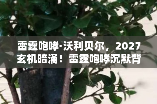 雷霆咆哮·沃利贝尔，2027玄机暗涌！雷霆咆哮沉默背后，这游戏究竟藏了多少人生密码？