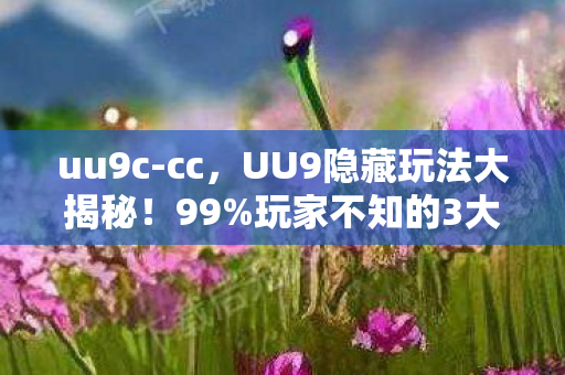uu9c-cc，UU9隐藏玩法大揭秘！99%玩家不知的3大神技，颠覆你的游戏认知！