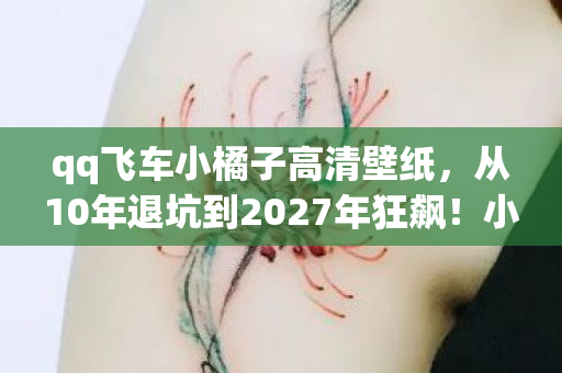 qq飞车小橘子高清壁纸,从10年退坑到2027年狂飙!小橘子竟让我重燃飞车魂? qq飞车小橘子高清壁纸,从10年退坑到2027年狂飙!小橘子竟让我重燃飞车魂?