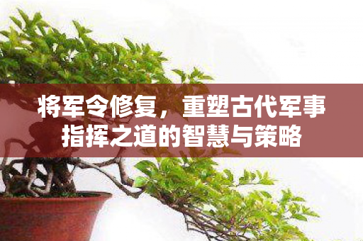 将军令修复,重塑古代军事指挥之道的智慧与策略 将军令修复,重塑古代军事指挥之道的智慧与策略