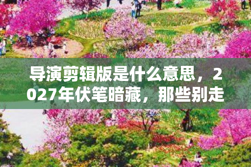 导演剪辑版是什么意思，2027年伏笔暗藏，那些别走的聊天记录，让我鼻子一酸