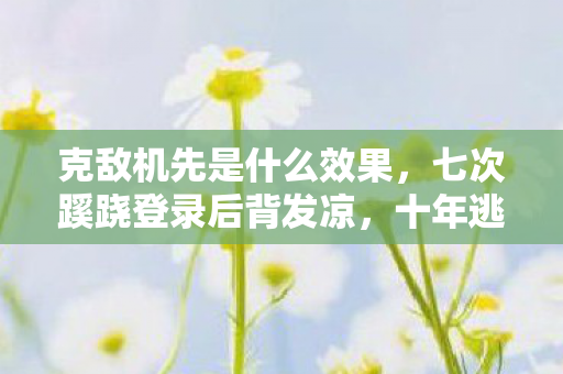 十年逃亡竟是场拙劣独角戏图片