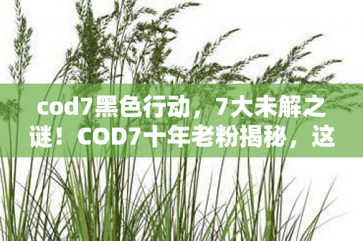 cod7黑色行动,7大未解之谜!COD7十年老粉揭秘,这背后藏着多少惊天秘密? cod7黑色行动,7大未解之谜!COD7十年老粉揭秘,这背后藏着多少惊天秘密?