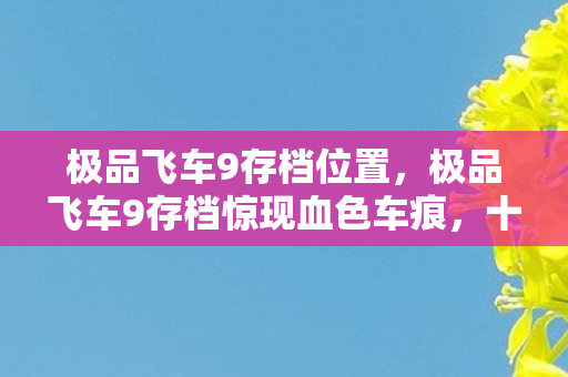 极品飞车9存档位置，极品飞车9存档惊现血色车痕，十年悬案，毛骨悚然真相待解