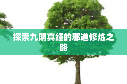 探索九阴真经的邪道修炼之路 探索九阴真经的邪道修炼之路