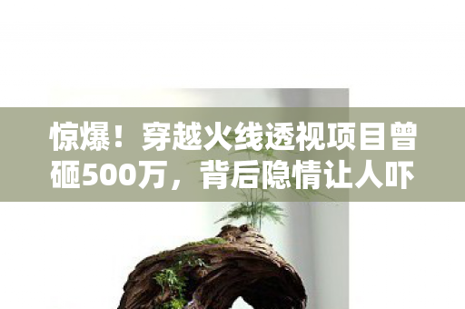 惊爆！穿越火线透视项目曾砸500万，背后隐情让人吓一跳！