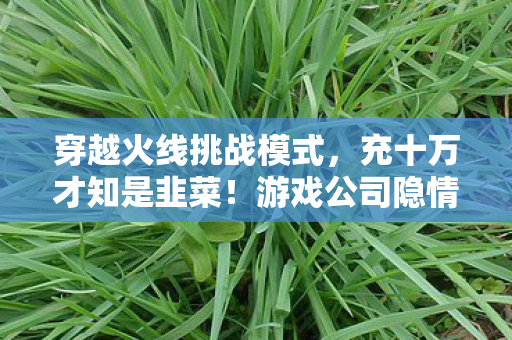 穿越火线挑战模式，充十万才知是韭菜！游戏公司隐情曝光，这操作真让人吓一跳！