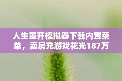 人生重开模拟器下载内置菜单，卖房充游戏花光187万！离婚协议藏隐情，妻子签字时我吓一跳