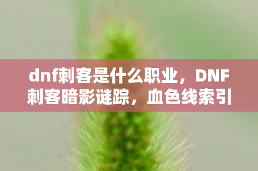 dnf刺客是什么职业，DNF刺客暗影谜踪，血色线索引悬案，毛骨悚然十年未解