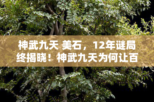 神武九天 美石，12年谜局终揭晓！神武九天为何让百万玩家泪目？