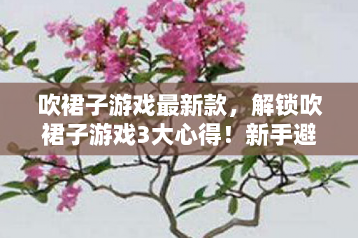 吹裙子游戏最新款,解锁吹裙子游戏3大心得!新手避坑指南,让你秒变社交达人 吹裙子游戏最新款,解锁吹裙子游戏3大心得!新手避坑指南,让你秒变社交达人