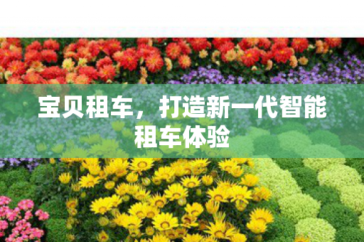 宝贝租车,打造新一代智能租车体验 宝贝租车,打造新一代智能租车体验