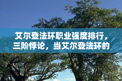 艾尔登法环职业强度排行，三阶悖论，当艾尔登法环的灵魂震颤击碎职业自由幻象