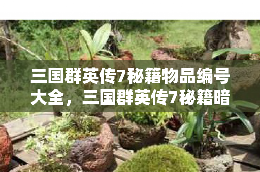 三国群英传7秘籍物品编号大全，三国群英传7秘籍暗藏玄机，血色秘典背后的自戕悬案，毛骨悚然！